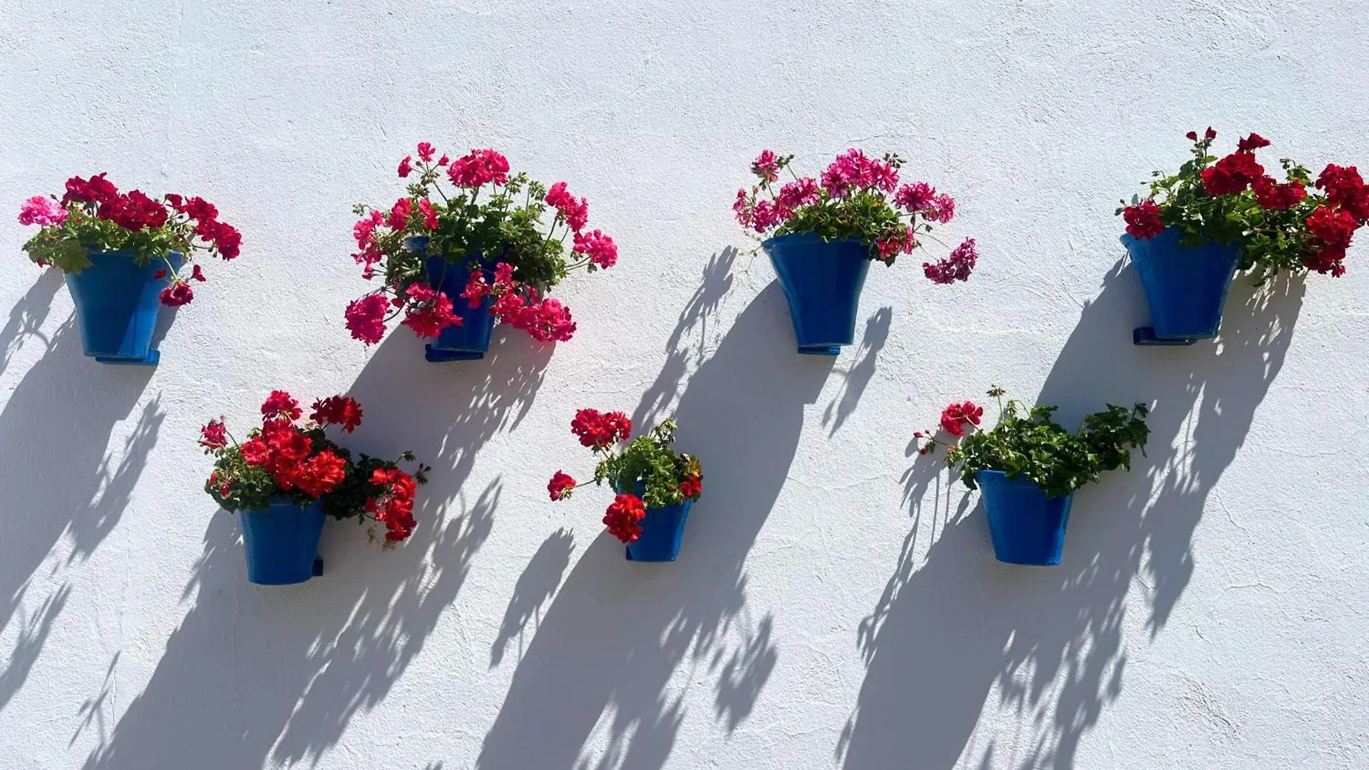 Apartmán La Buganvilla Córdoba